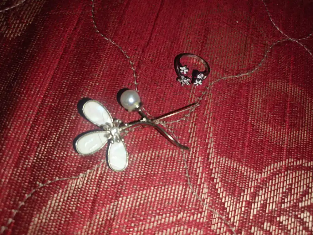 bros dan cincin korea