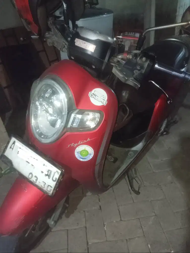 Scoopy stylist 2019