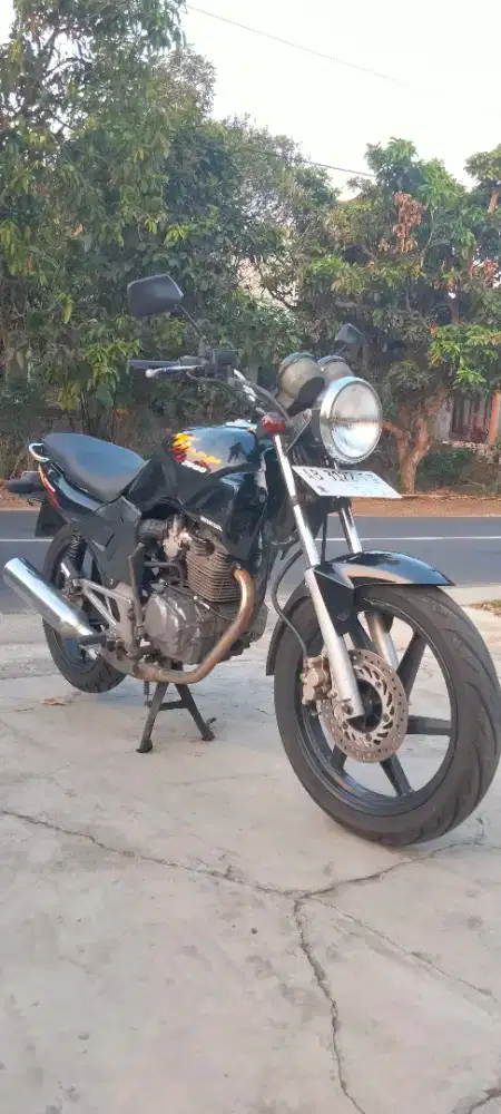 Tiger lama 2004 cruisser
