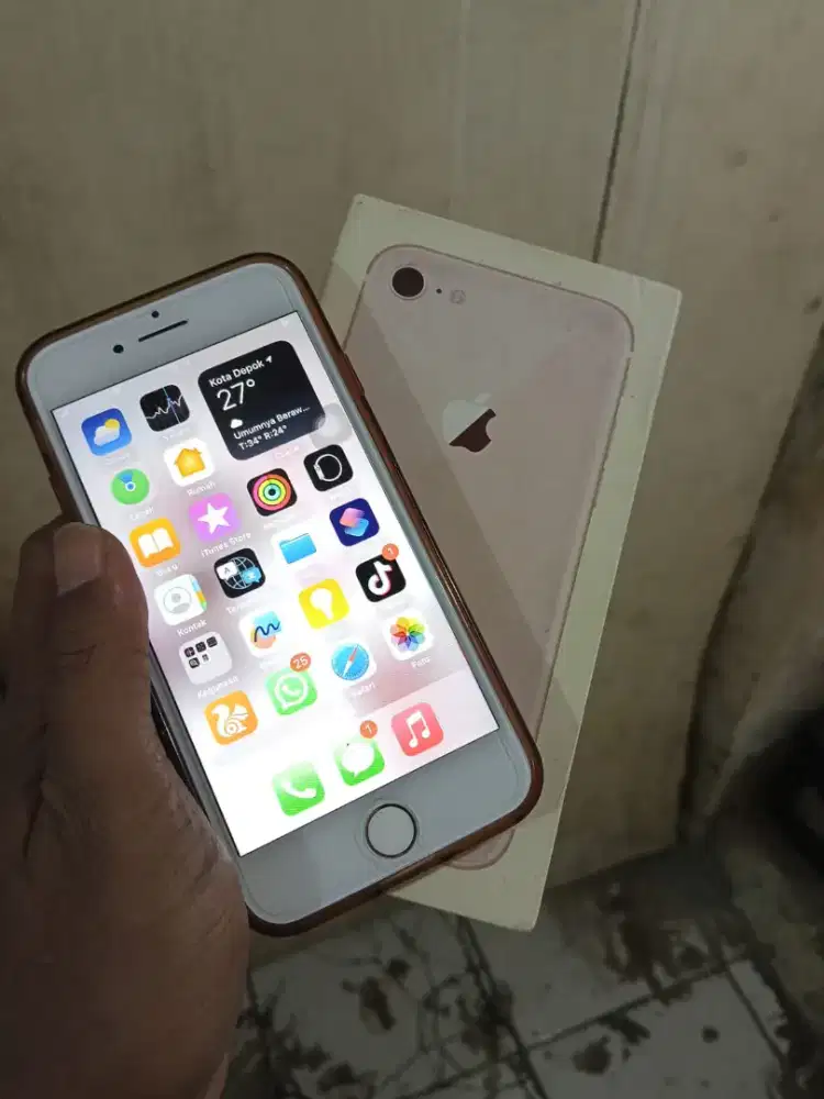 iPhone 8 64 GB mulus