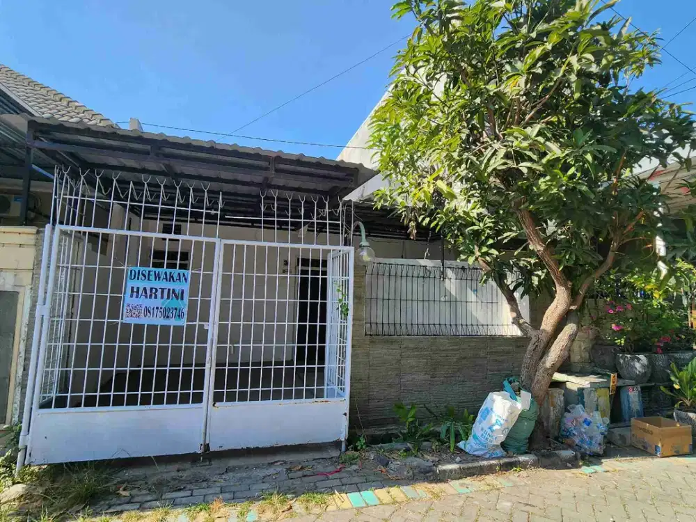 rumah 1 lantai baru renovasi wiyung babatan pilang dekat jalan raya