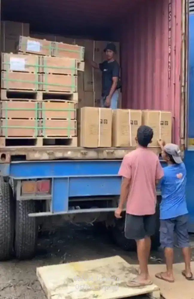 Loker tenaga sortir packing dan bongkar muat gudang