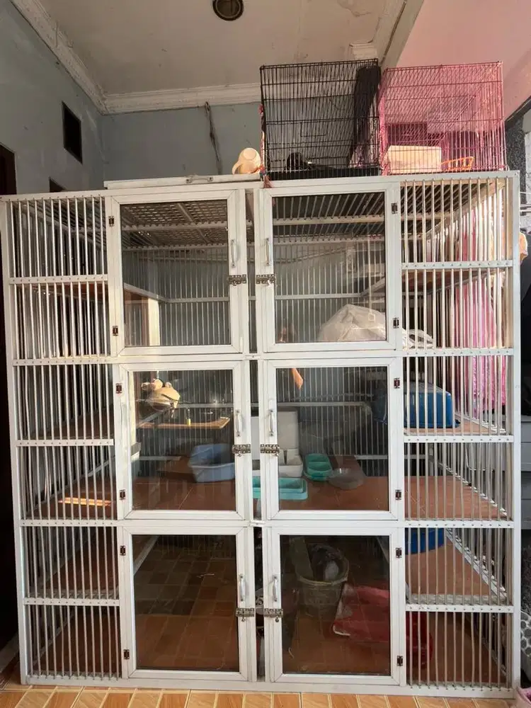 Kandang kucing dan perlengkapannya All In