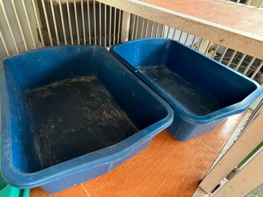 Kandang kucing dan perlengkapannya All In