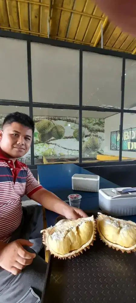 Buka jasa programer website