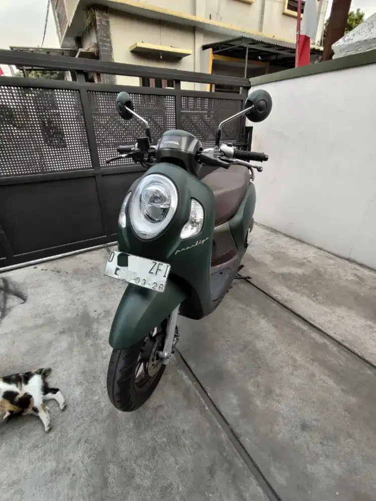 Scoopy Prestige 2023