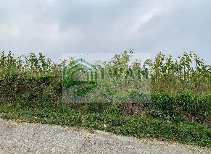 Tanah Iklim Sejuk Dengan View Alam & Gunung Strategis Hadap 2 Jalan