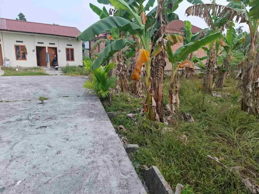 tanah di jalan Air Dingin Simpang Tiga dekat dengan Kampus UIR