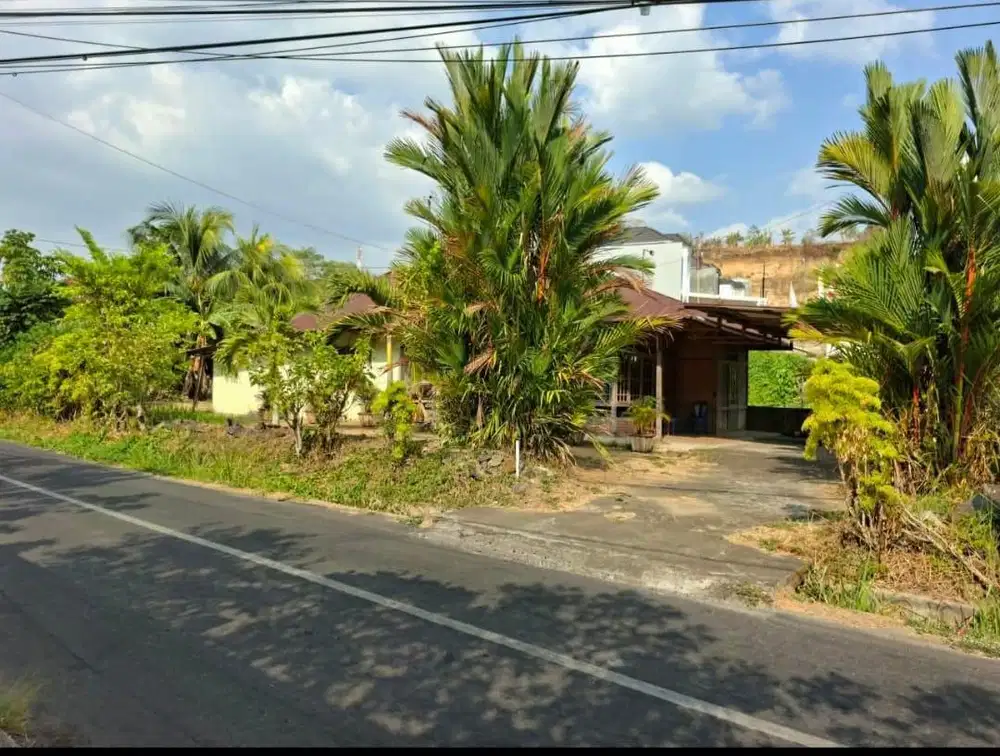 JUAL CEPAT TANAH SHM DI MANADO BISA NEGO