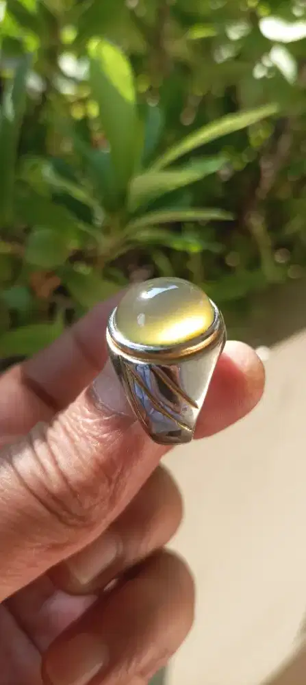 Cincin batu anggur lumut lawasan