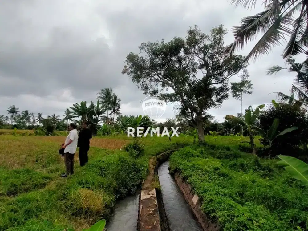 DIJUAL TANAH PERTANIAN STRATEGIS - KENJO, GLAGAH BANYUWANGI