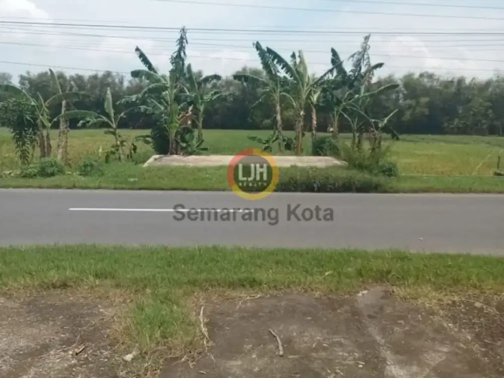 Jual Kavling Luas Gabus Pati