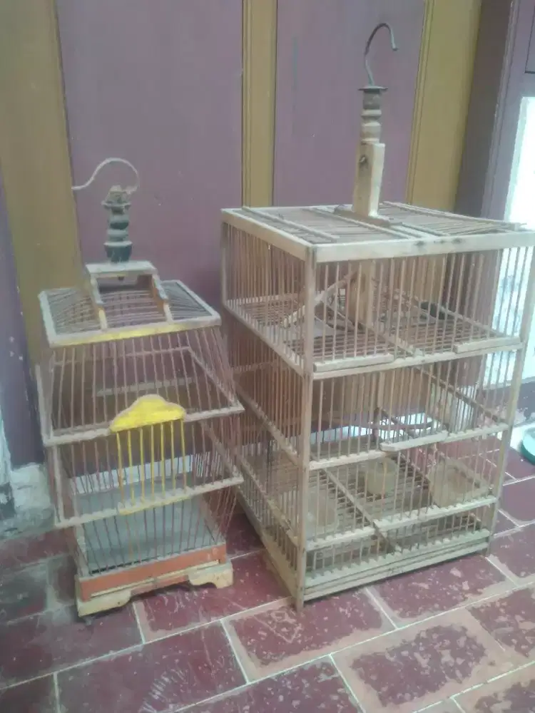 sangkar jebak burung dan burcil