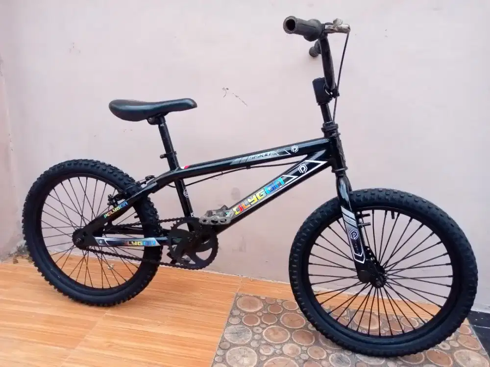 Jual Bmx Basick PHOENIX Ukuran 20.