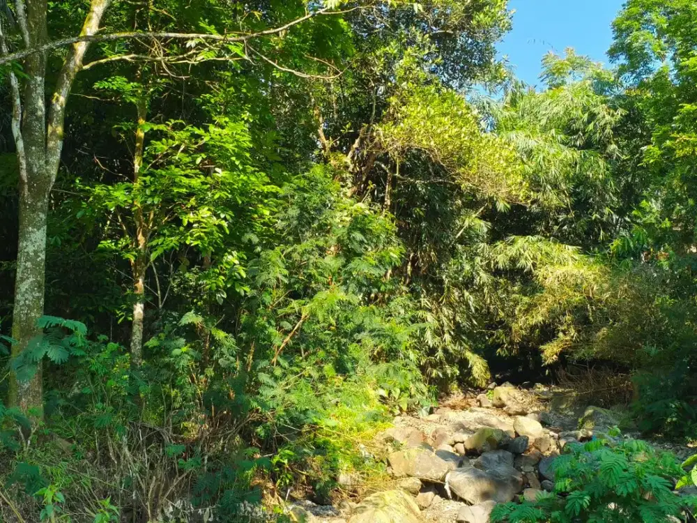 Lahan Kebun Produktif 2.000m² SHM di Bojong Purwakarta – Dekat Sungai & Akses Mobil Menempel L