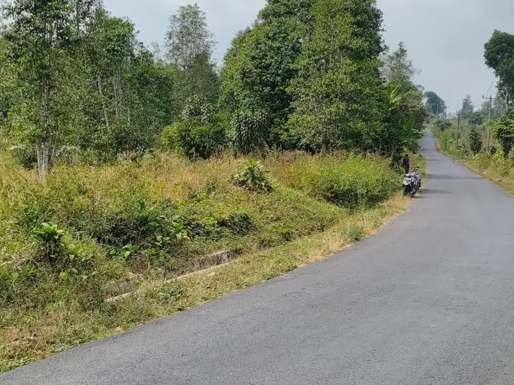 Dijual Tanah Kebun 7.000m² di Bojong Purwakarta – Lebar Muka 80m, Cocok untuk Villa & Kebun Premium