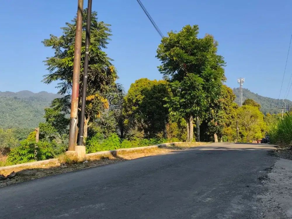 Kebun Produktif 5.500m² SHM di Kaki Gunung Burangrang, Bojong Purwakarta – Siap Menghasilkan