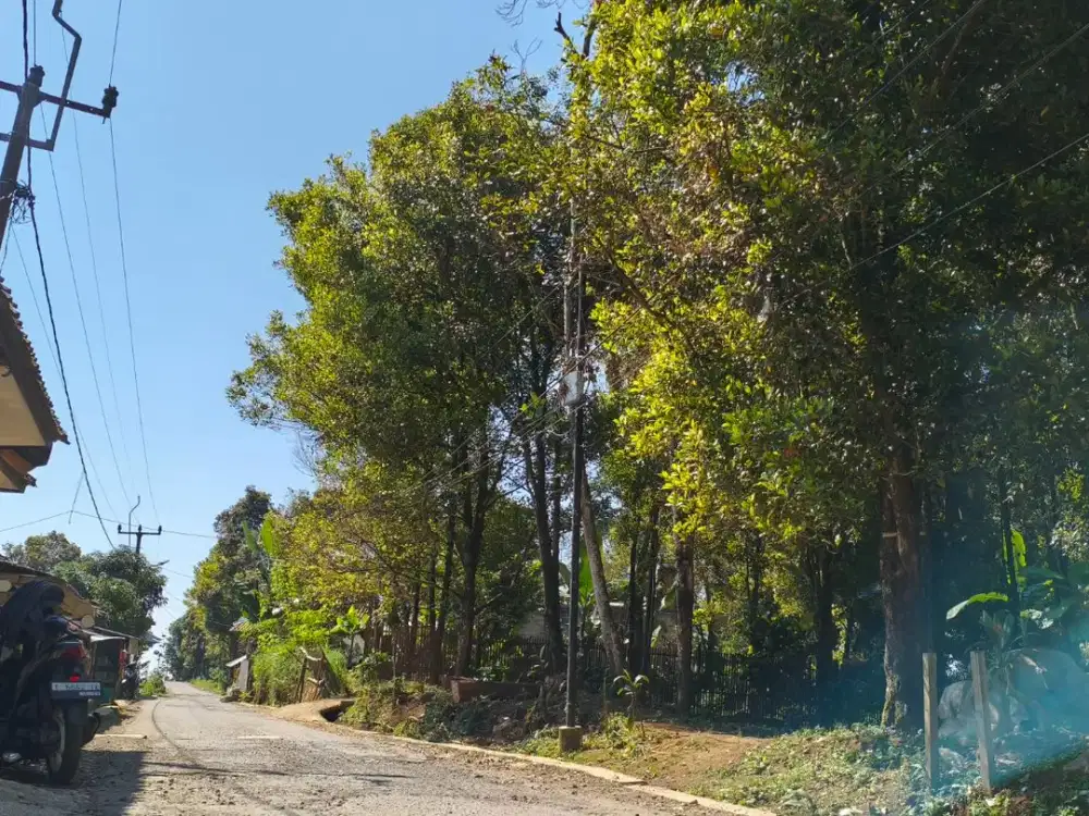 Kebun Cengkeh Produktif 750m² SHM di Bojong Purwakarta – Kawasan Wisata Kaki Gunung Burangrang