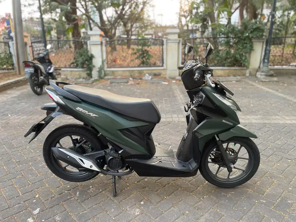 Deluxe 2024 Pajak Panjang