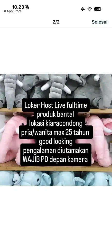 Loker Konten kreator dan Host Live Fulltime