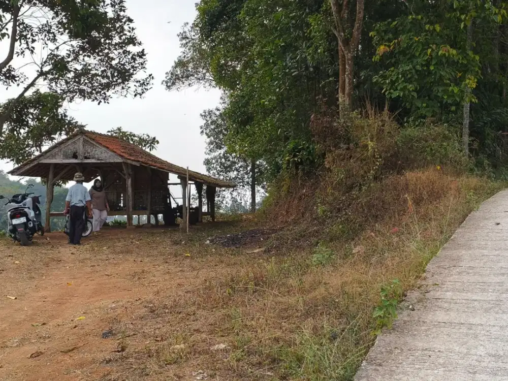 Lahan Sawah & Kebun 4.000 m² di Darangdan Purwakarta – Udara Sejuk, Akses Mobil & Siap Bangun Villa