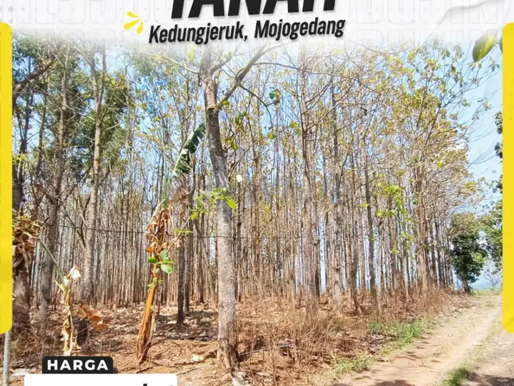 Tanah dijual di Kedungjeruk Mojogedang Karanganyar nego sekitarnya sudah banyak perumahan
