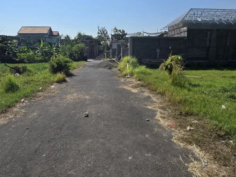 Tanah Strategis 1,88 Are Dijual di Lovina Bali