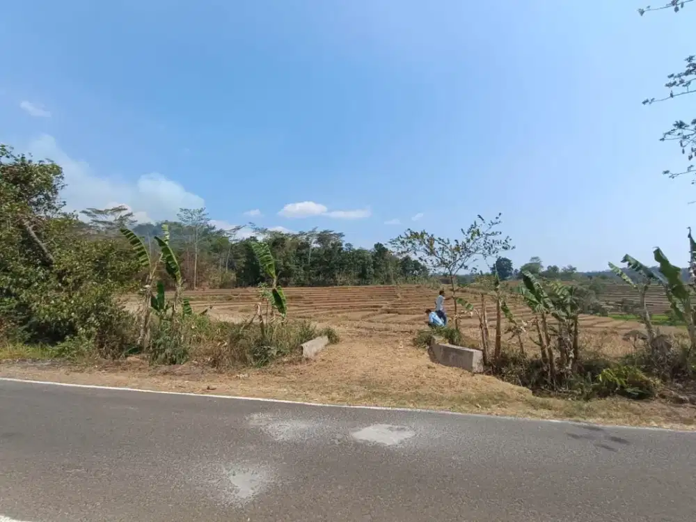 Tanah dijual di Mojogedang Karanganyar jalan aspal sudah SHM Pekarangan