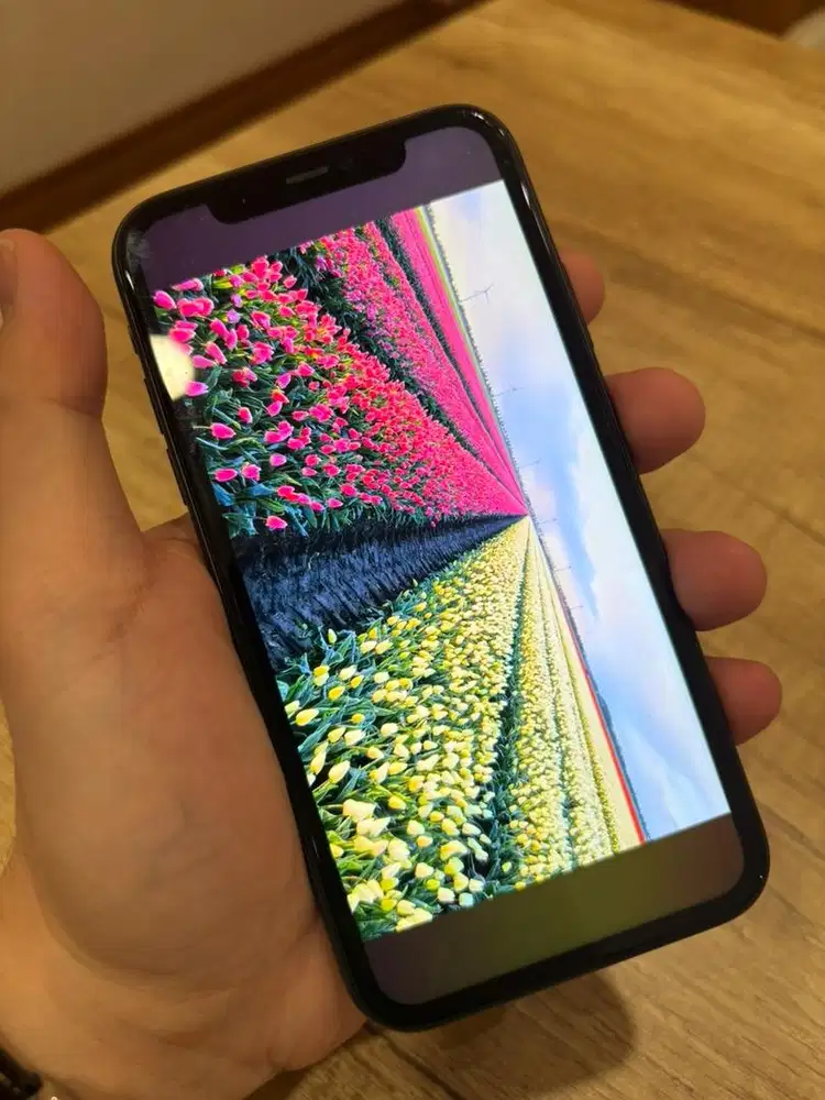 Iphone 11 128gb mulus second