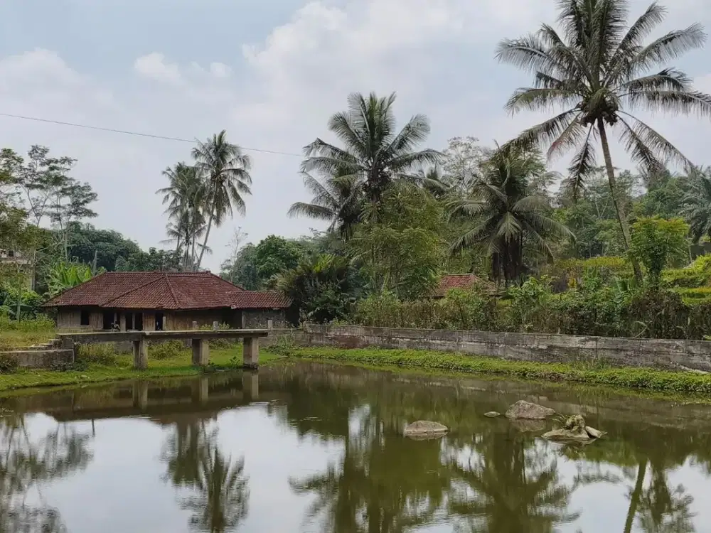 Dijual Lahan Kolam Produktif 4.000 m² SHM di Bojong Purwakarta – Air Melimpah, Sumber Mata Air Alami