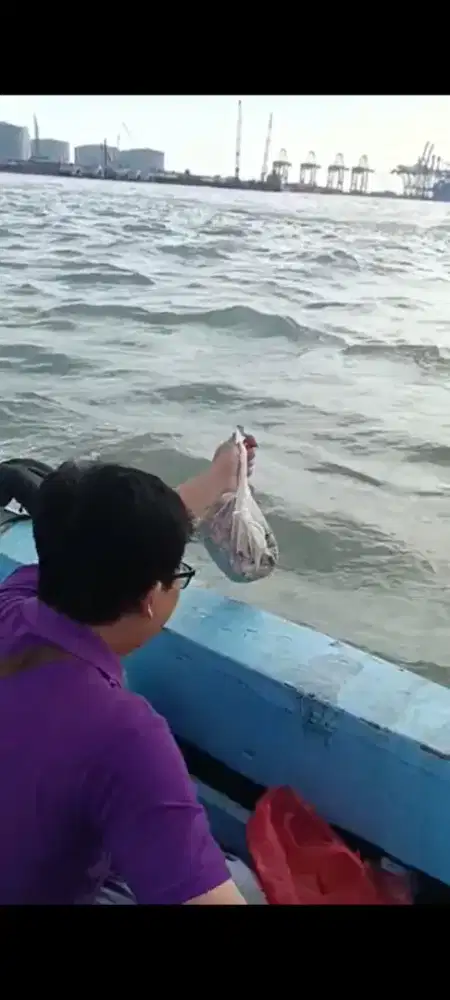 Jasa Larung Ari-ari bayi (perahu) Tanjung Perak.