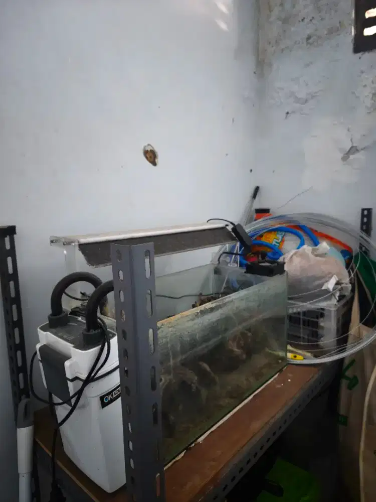 Aquarium Aquascape