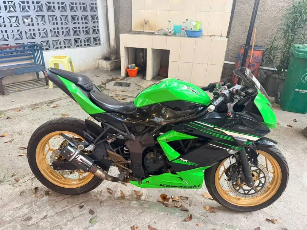 Kawasaki Ninja 250SL (BX250A/RR Mono) 2014