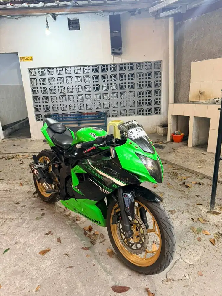Kawasaki Ninja 250SL (BX250A/RR Mono) 2014