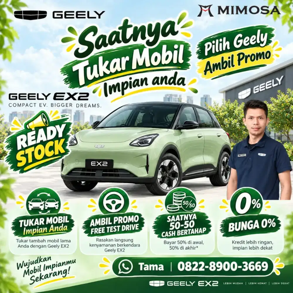Geely ex2 Type max