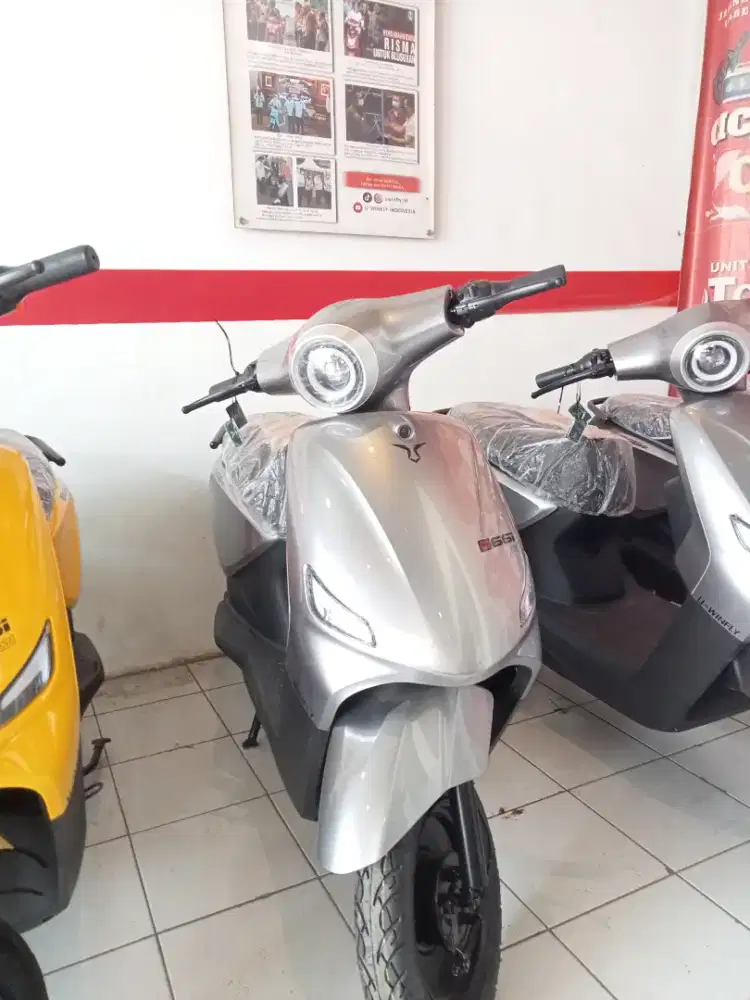Sepeda Listrik D66i 01