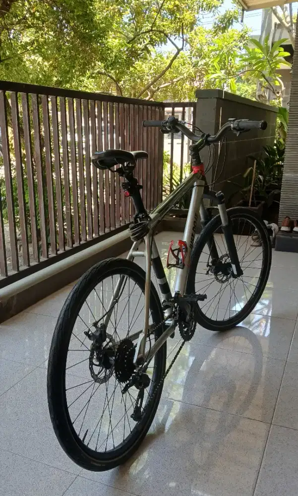 Sepeda polygon Cosmic xstrada