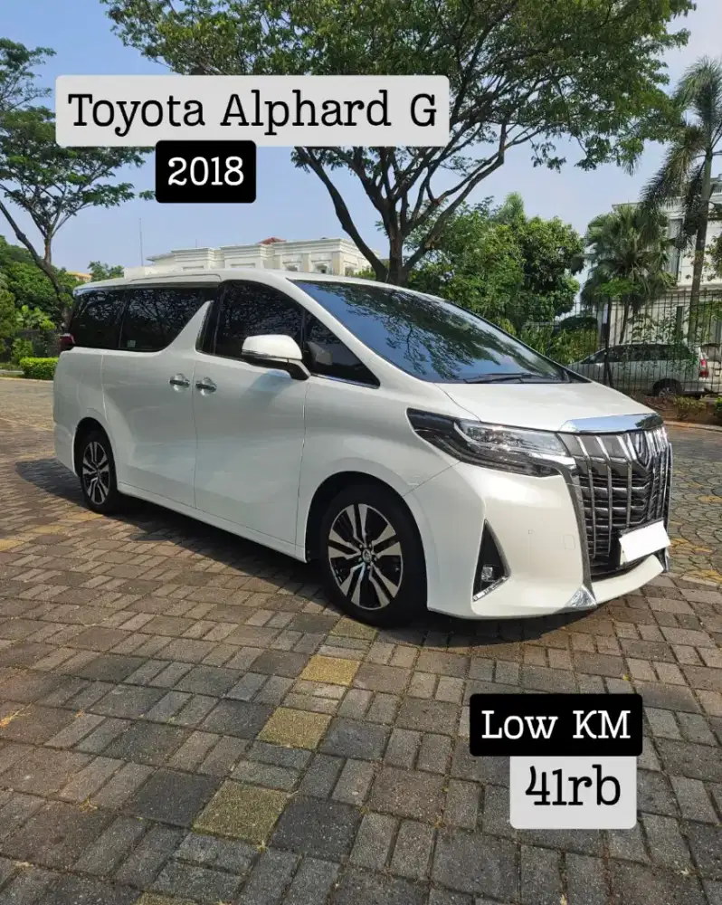 Toyota Alphard G 2018 [KM 41rb] Cash!
