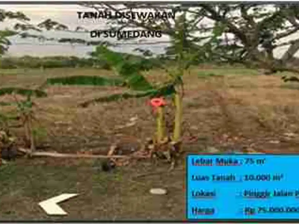 Tanah disewakan sumedang
