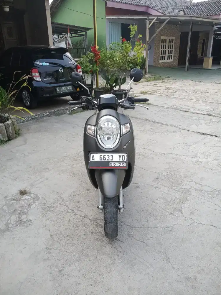 •Big sale Honda Scoopy Stylish