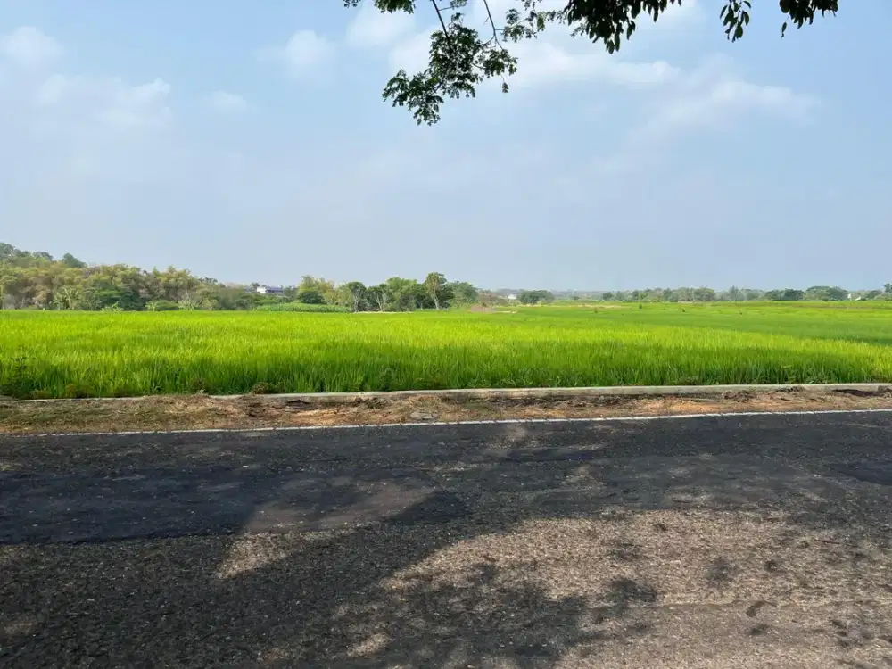 Sawah Strategis Luas 4933m2 Tepi Jalan Mojogedang, Karanganyar