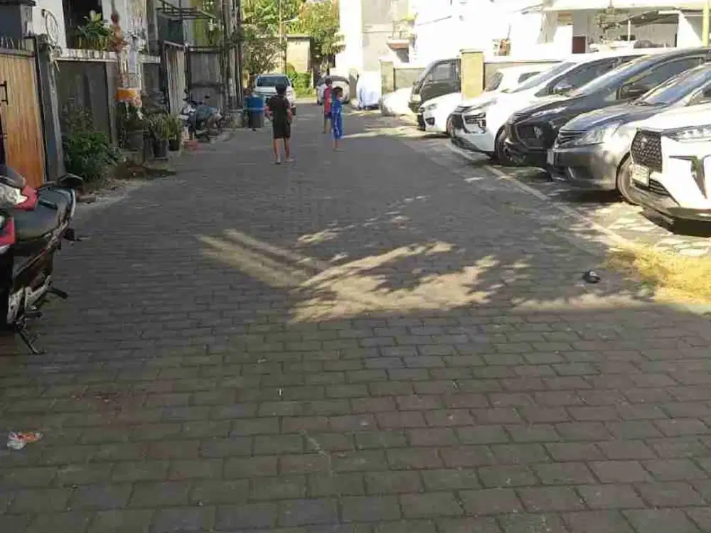 tanah jalan badak sari renon bali