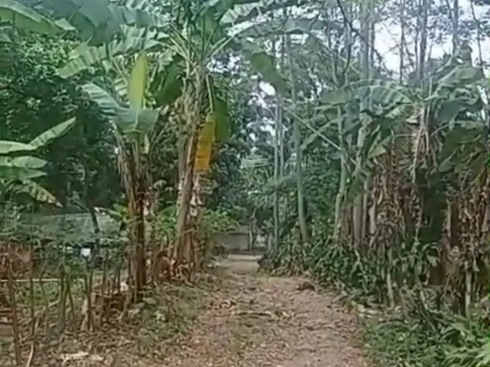 Tanah Siap Bangun di Tanjungsari Bogor