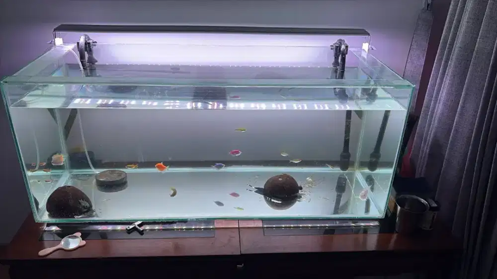 Aquarium + filter