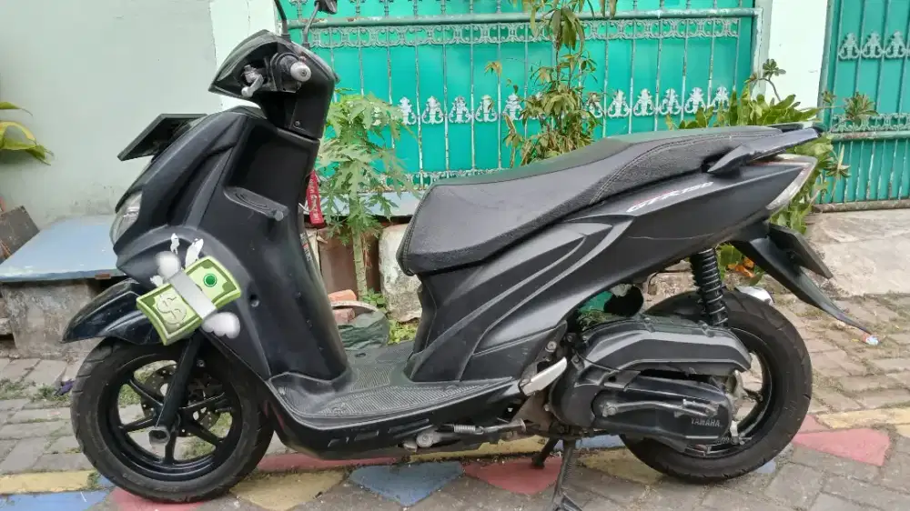 Freego STD 2019