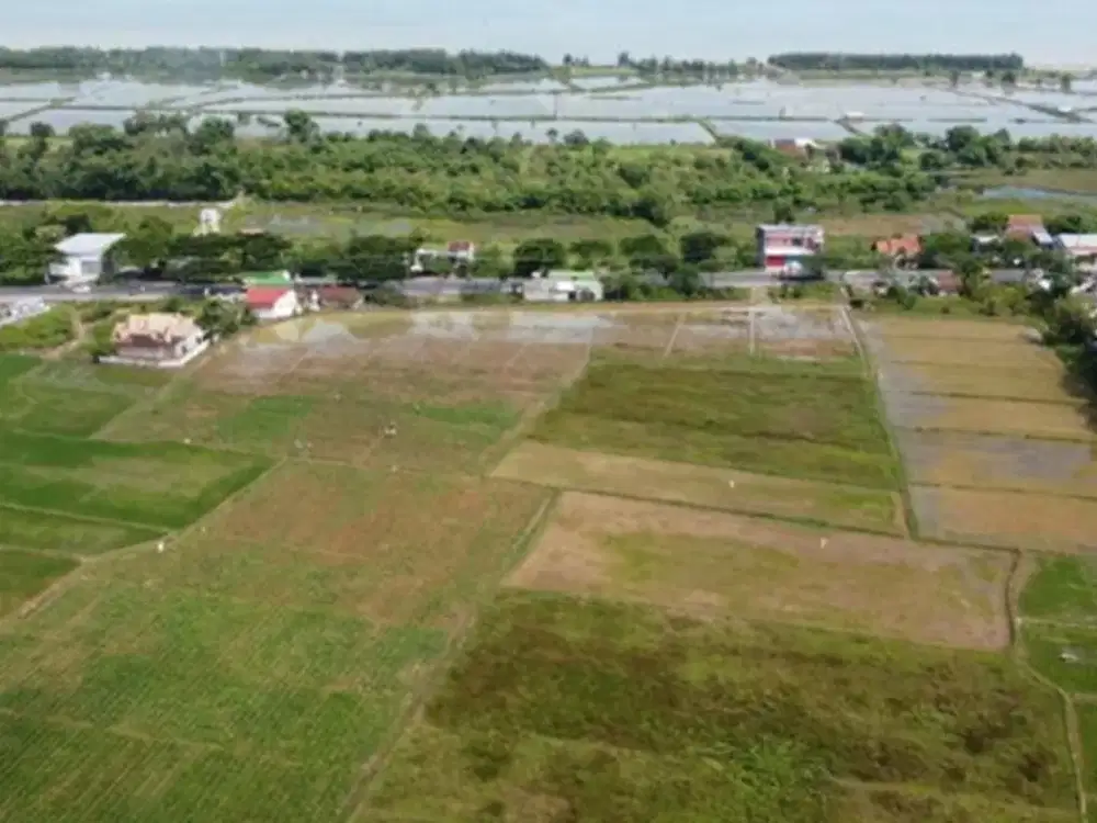 Dijual Tanah Di Kawasan Rembang Jawa Tengah