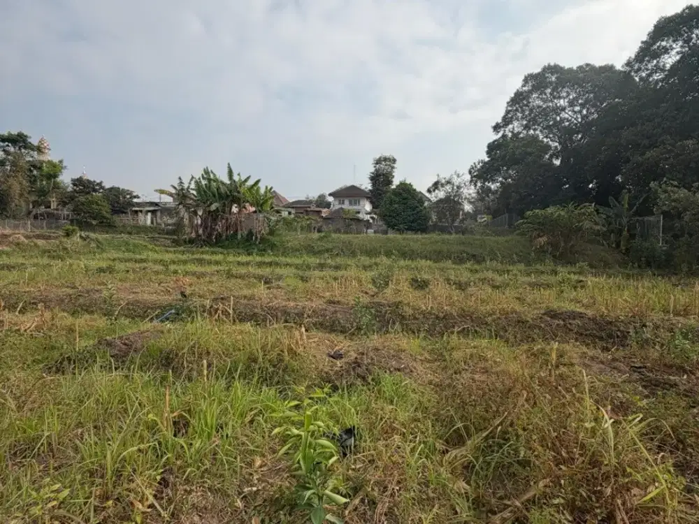Dijual Tanah Luas Dekat Jalan Raya di Giripurno Karangploso Malang
