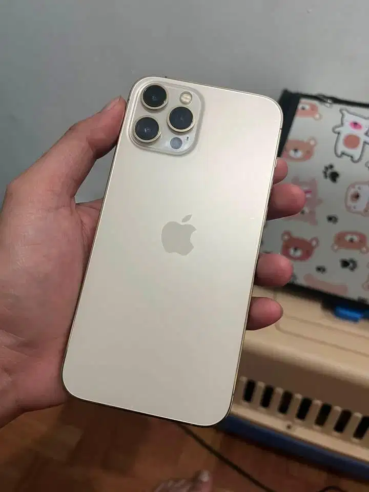 Iphone 12 pro max all operator indonesia.