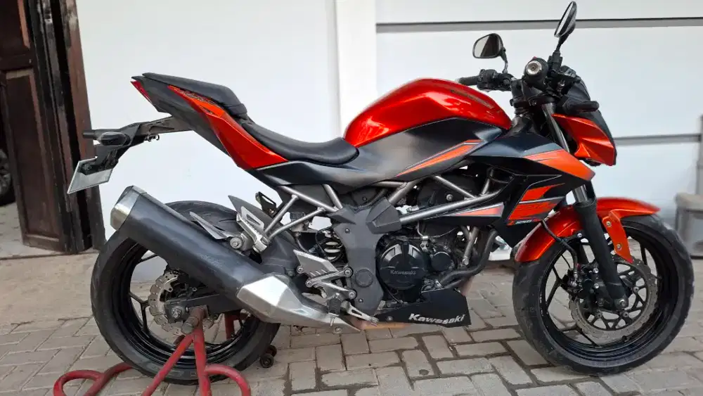 Kawasaki Z250 SL