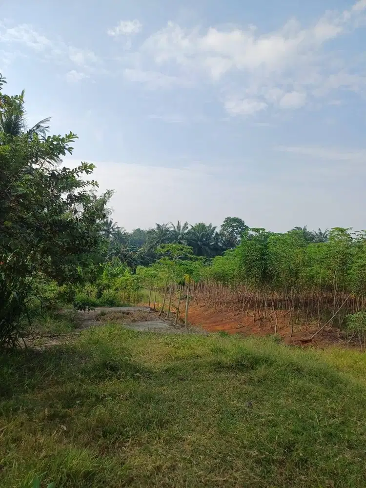 Tanah Datar 19.195 m² 6 SHM Naga Rejo Galang Deli Serdang